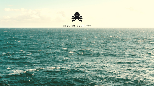 NICE TO MEET YOU