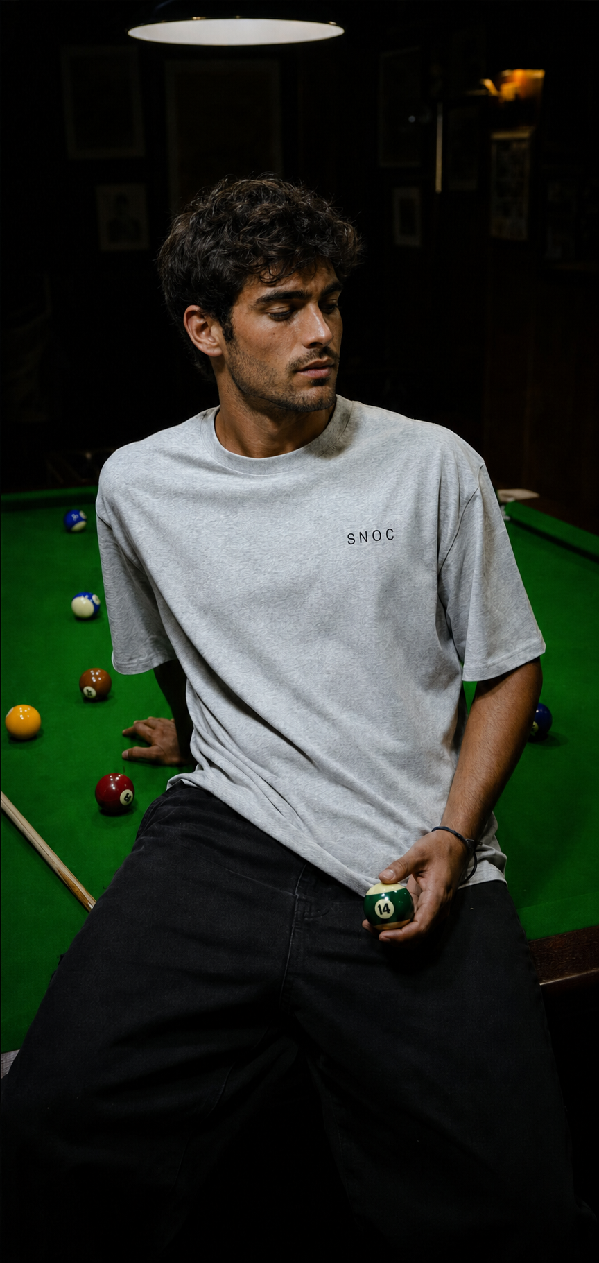 CAMISETA DOG