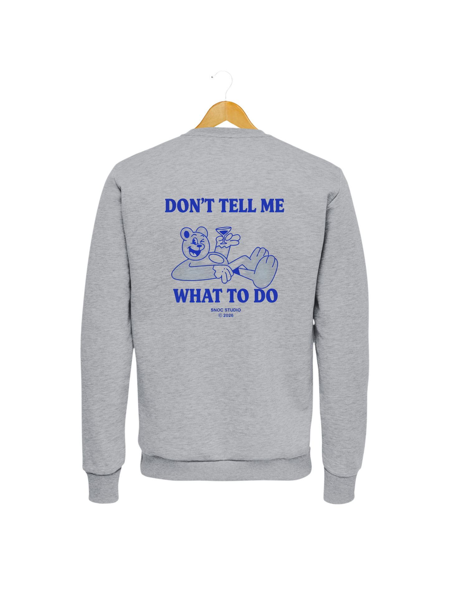 Sudadera Funny Bear SNOC color Gris Claro, vista trasera, fondo transparente