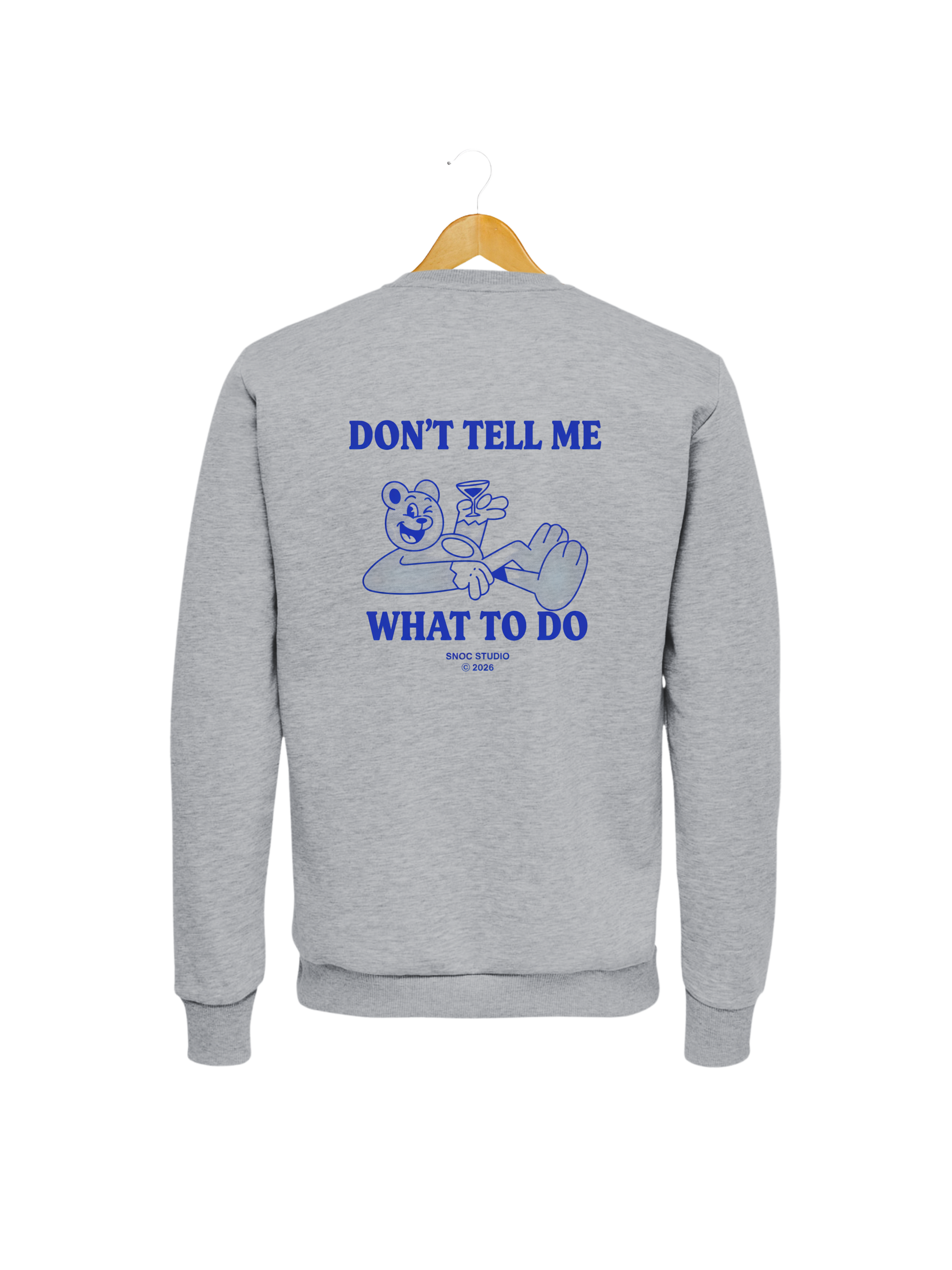 Sudadera Funny Bear SNOC color Gris Claro, vista trasera, fondo transparente