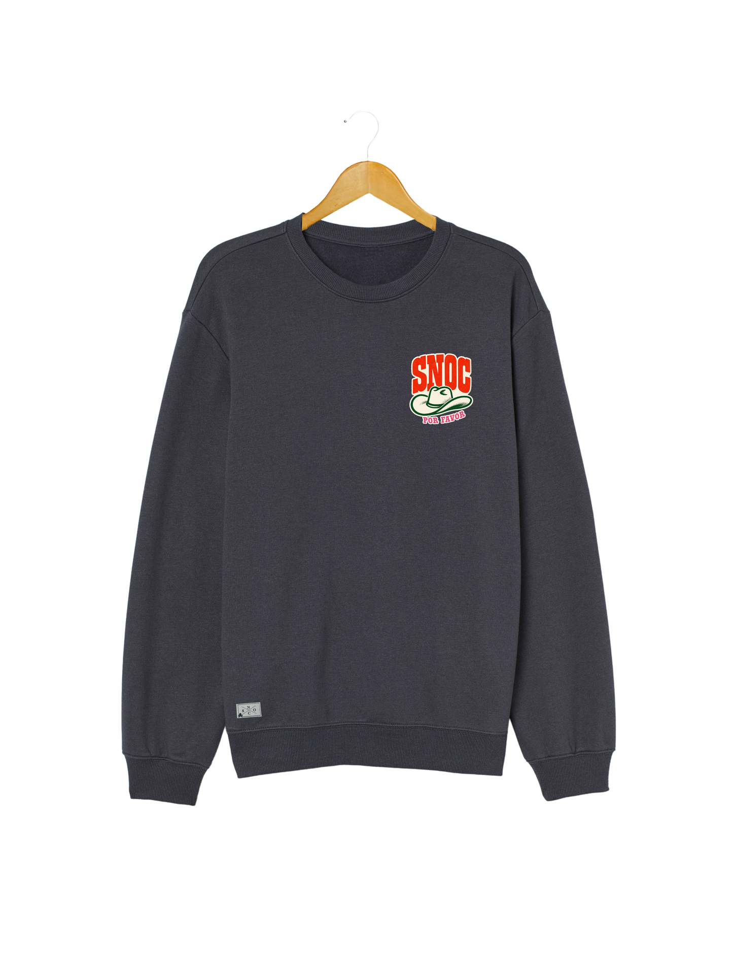 Sudadera SNOC Por Favor gris oscuro, vista frontal, fondo transparente