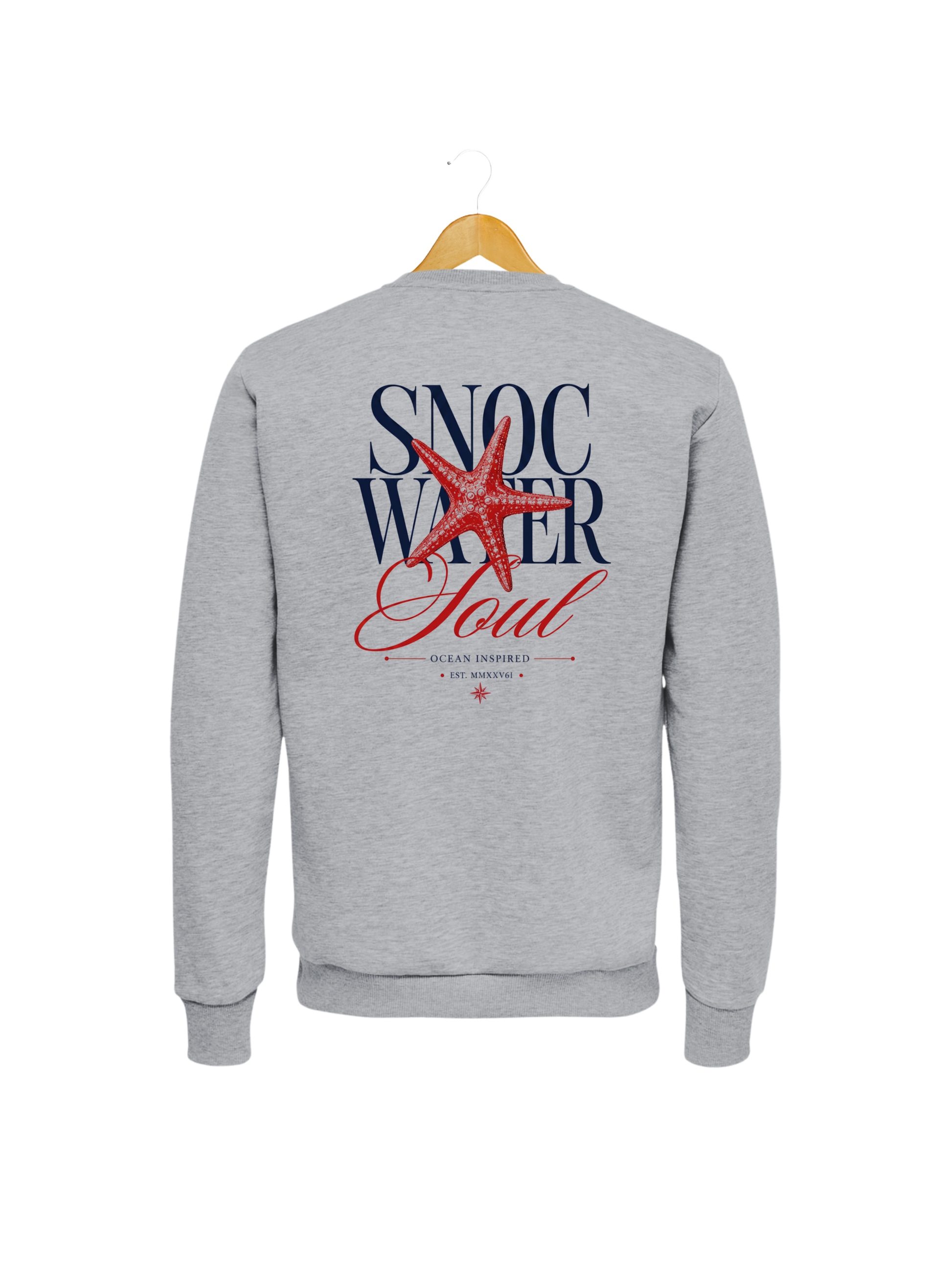 Sudadera SNOC Soul color Gris Claro, vista trasera con el diseño Water Soul, fondo transparente